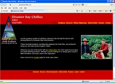 View Page